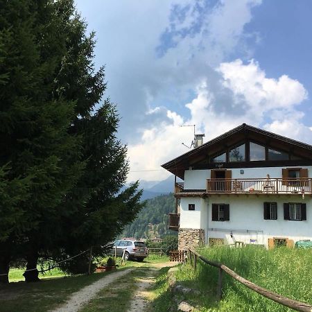 Casa Bernard Zortea Vanoi Cuore Verde Del Trentino 카날레 산 부보 외부 사진