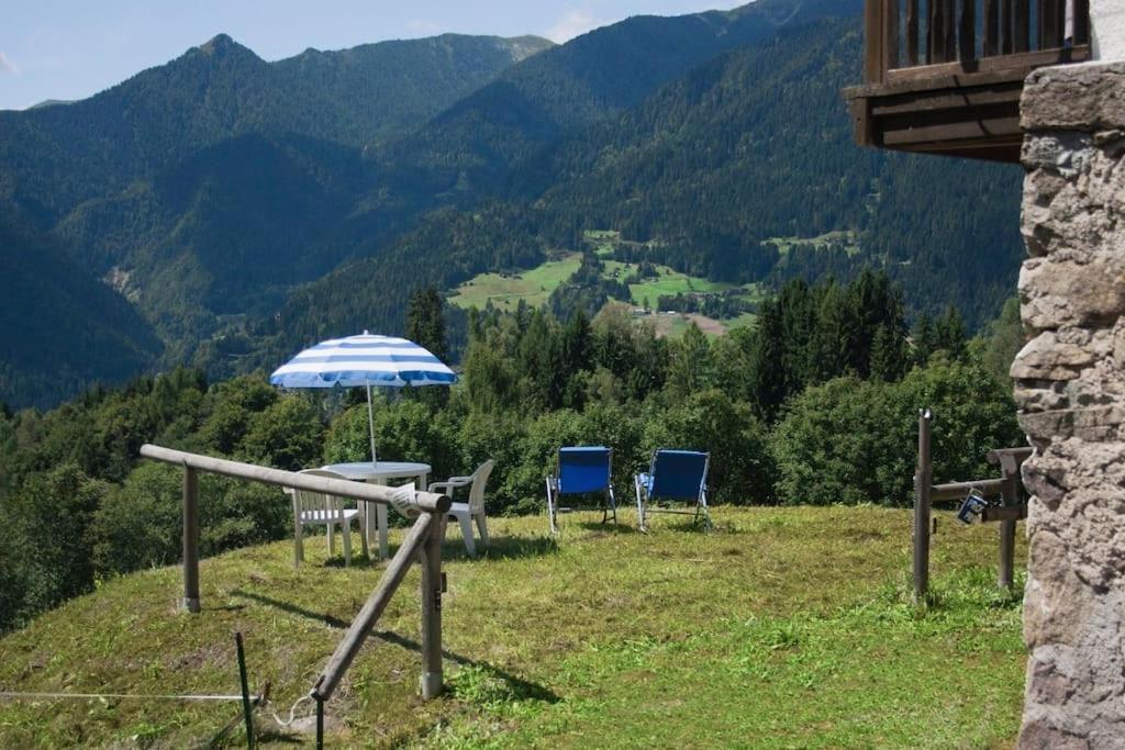 Casa Bernard Zortea Vanoi Cuore Verde Del Trentino 카날레 산 부보 외부 사진